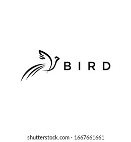 Bird logo design with monogram line  and luxury