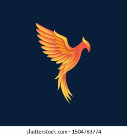 bird logo design. phoenix logo design. strong bird logo design. bird logo template.