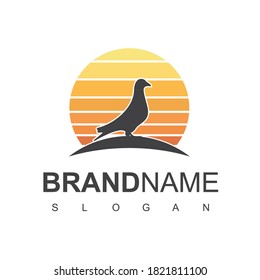 Bird Logo Design With Pigeon, Dove Symbol