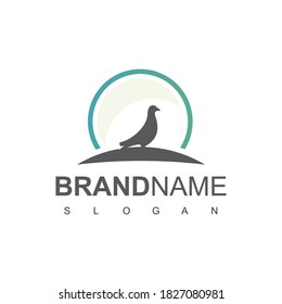 Bird Logo Design With Pigeon, Dove Symbol