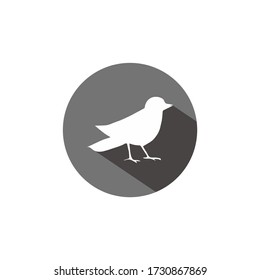 bird logo design silhouette flat design