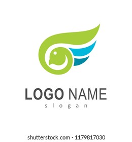 
bird logo design, simple bird symbol