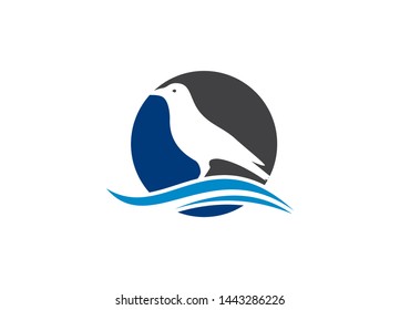 Bird logo design, bird symbol