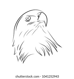 bird logo design template
