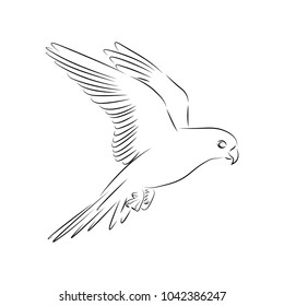 bird logo design template