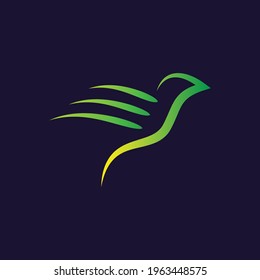 Bird logo design. Bird logo template.