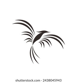 Bird logo design, bird template design