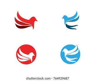 Bird logo design template