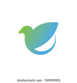 Bird logo design template