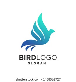 Bird Logo Design template. Eagle Dove Falcon Phoenix logo vector illustration