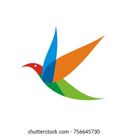 Bird logo design template vector