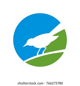 Bird logo design template vector illustration
