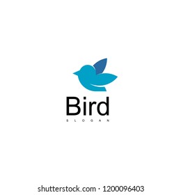 Bird Logo Design Vector