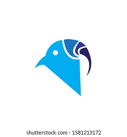 Bird Logo Design Vector - Vector