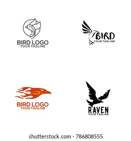 Bird Logo Design Vector