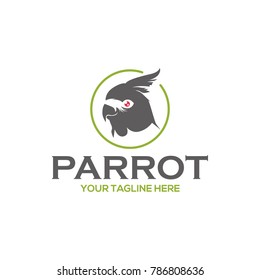 Bird Logo Design Vector