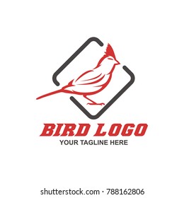Bird Logo Design Vector
