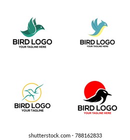 Bird Logo Design Vector