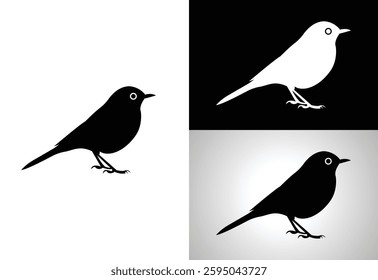 Bird logo design, Vector design Concept
