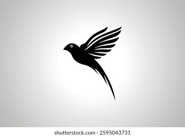 Bird logo design, Vector design Concept