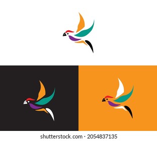  bird logo design vector format