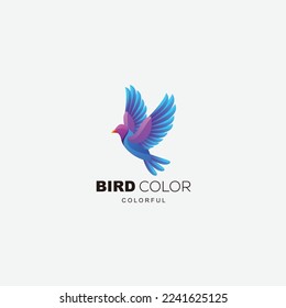 bird logo design vector gradient colorful