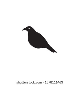 Bird logo design. Bird vector illustration design. Company logo design.