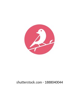 Bird logo design vector illustration