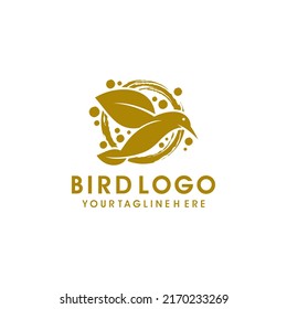 Bird logo design vector illustration