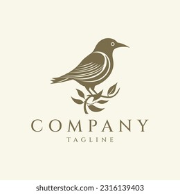 Bird logo design vector illustration