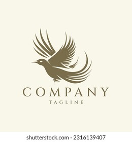 Bird logo design vector illustration