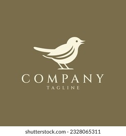 Bird logo design vector illustration