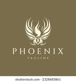Bird logo design vector illustration