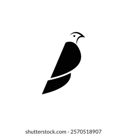 Bird logo design vector illustration