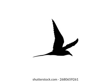 Bird logo design, vector illustration. Vector Concept design