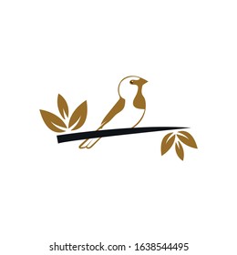 Bird Logo design vector illustration,can use for vintage logo element