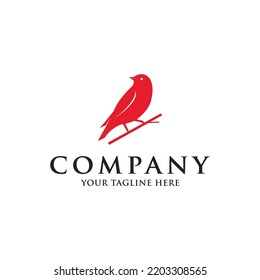 Bird logo design vector image