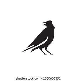 Bird logo design vector template