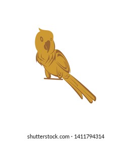 bird logo design vector template