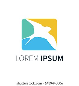 bird Logo design vector template. Creative Wild Bird logo. Vector Illustration