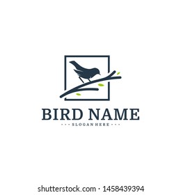 Bird logo Design Vector Template. Bird icon vector concept