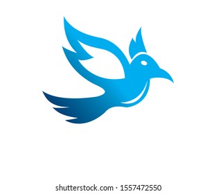 bird logo design vector template, flying bird logo
