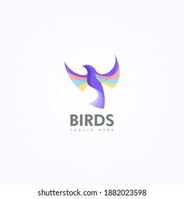 Bird Logo design vector template