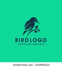 Bird logo design vector template svg