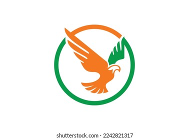 Bird logo design, Vector design template.