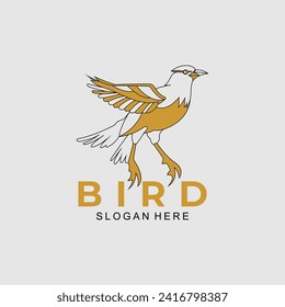 Bird logo design vector template
