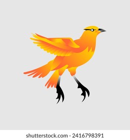 Bird logo design vector template