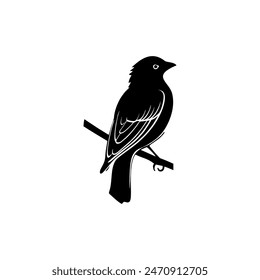 bird logo design vector template
