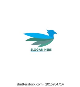 
bird logo design and bird wings