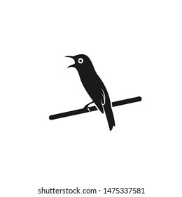 bird logo design for your projects